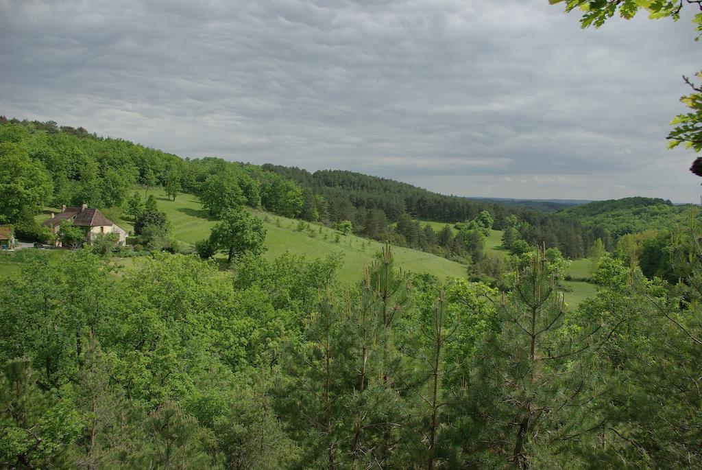 Hotel Pechalvet Fleurac  Pokój zdjęcie